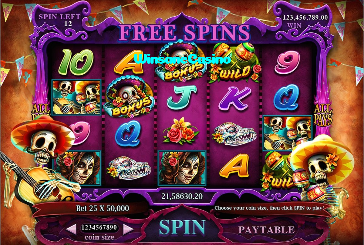 available types of WinsaneCasino bet including pre-match live express and system bets